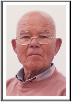 JOÃO MANUEL DA SILVA VIEIRA