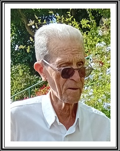 MANUEL ASCENSÃO DA COSTA ANDRADE