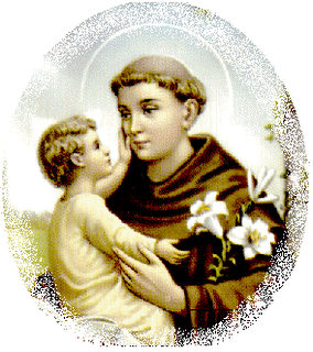 JOÃO LUÍS DE GOUVEIA